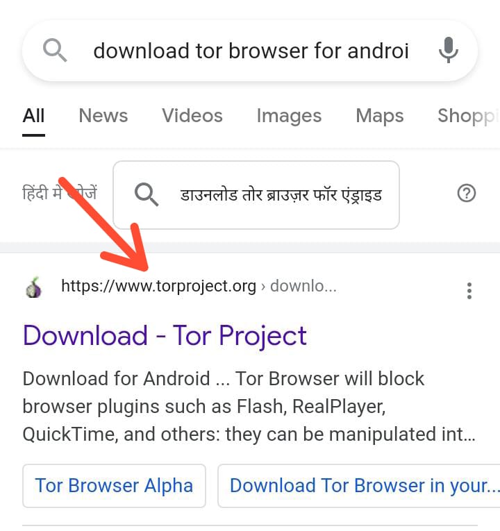 what does the tor browser download mega вход